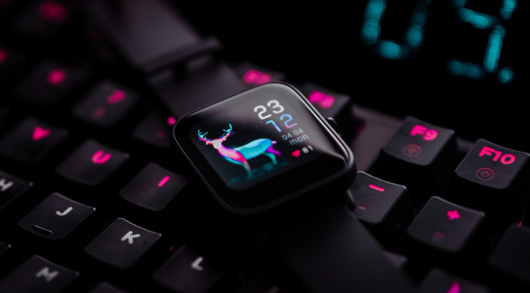 smartwatch wearable